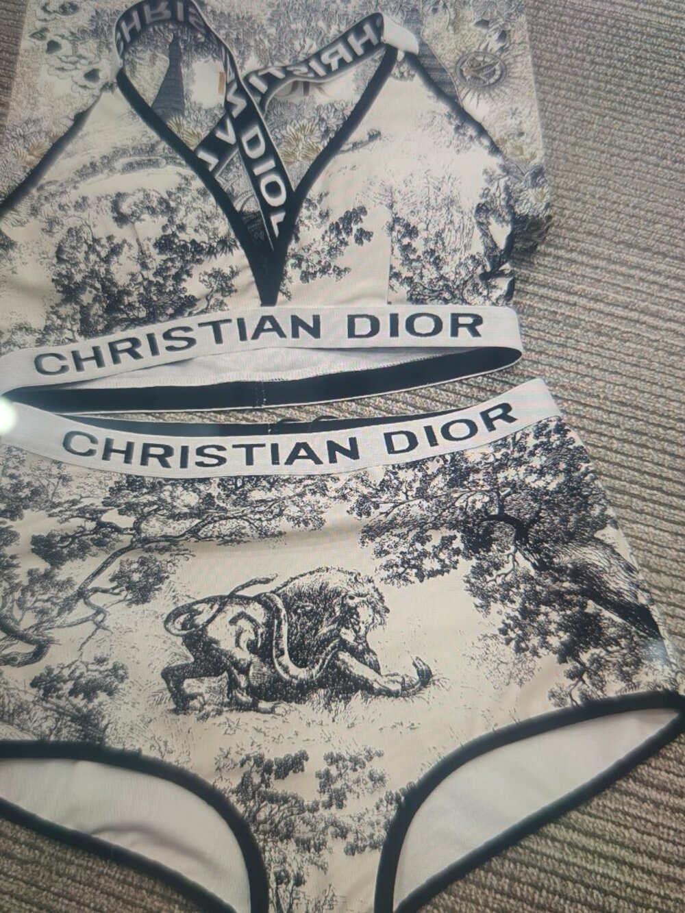 Dior Toile de Jouy Print Two-Piece Lingerie Set Logo Elastic Band